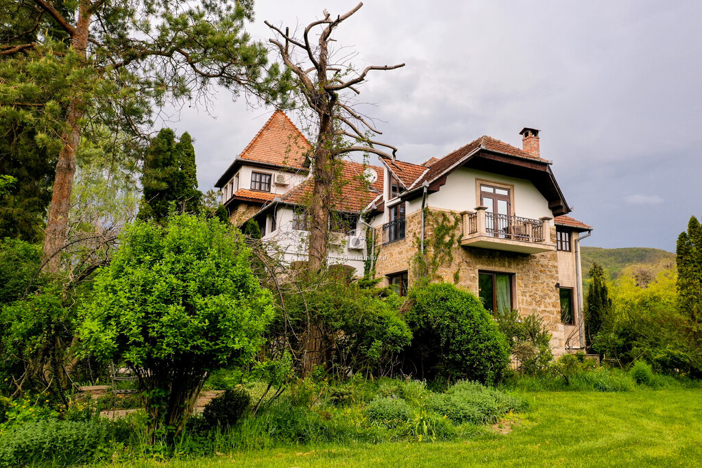 Vila Castelul Maria