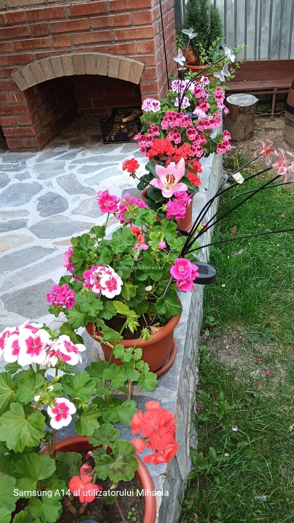 Casa Bogdan