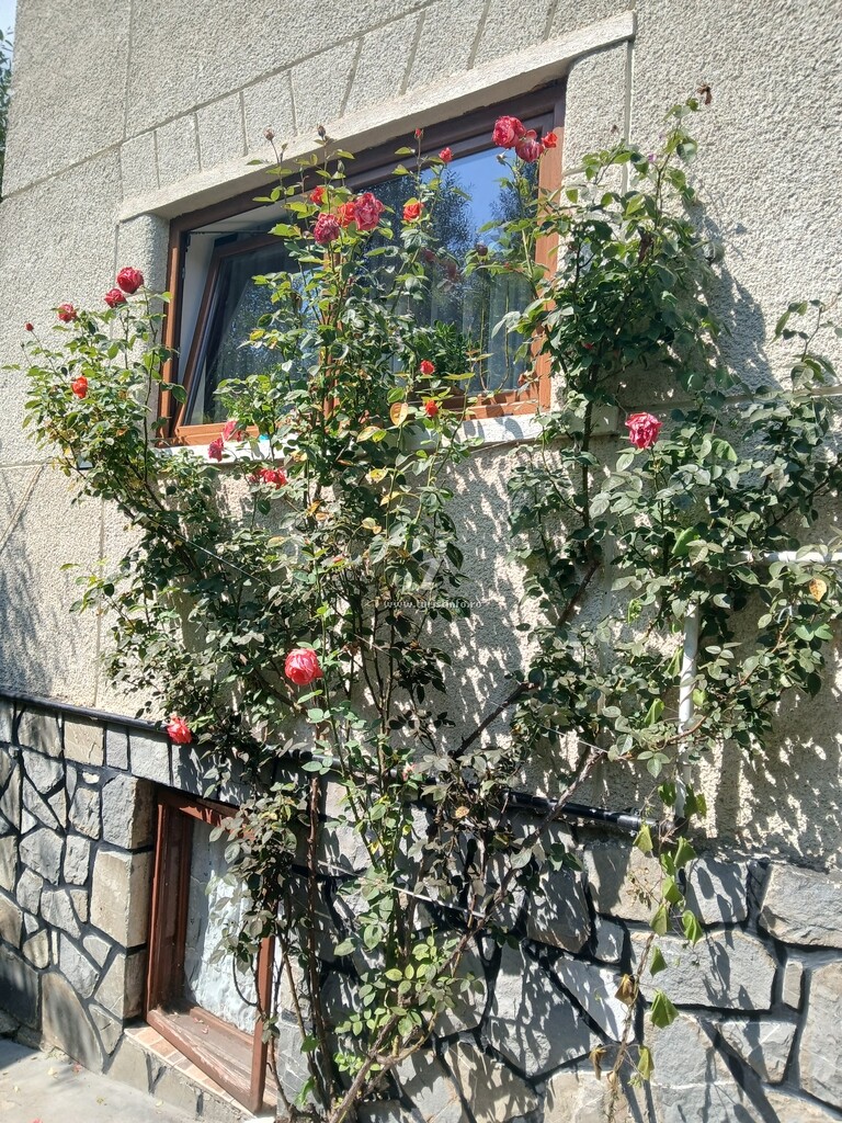 Casa Bogdan