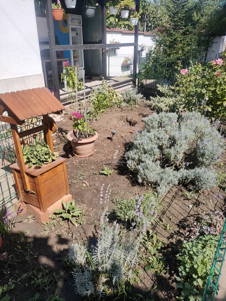 Casa de vacanță Nyx