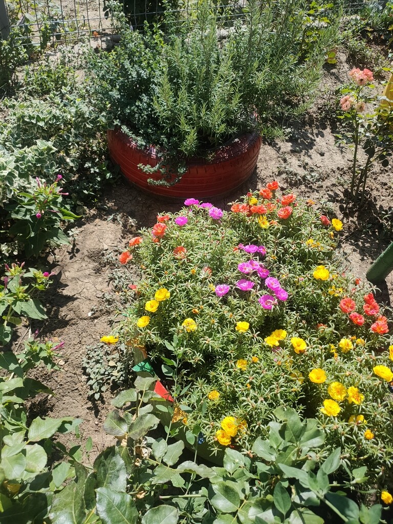 Casa de vacanță Nyx