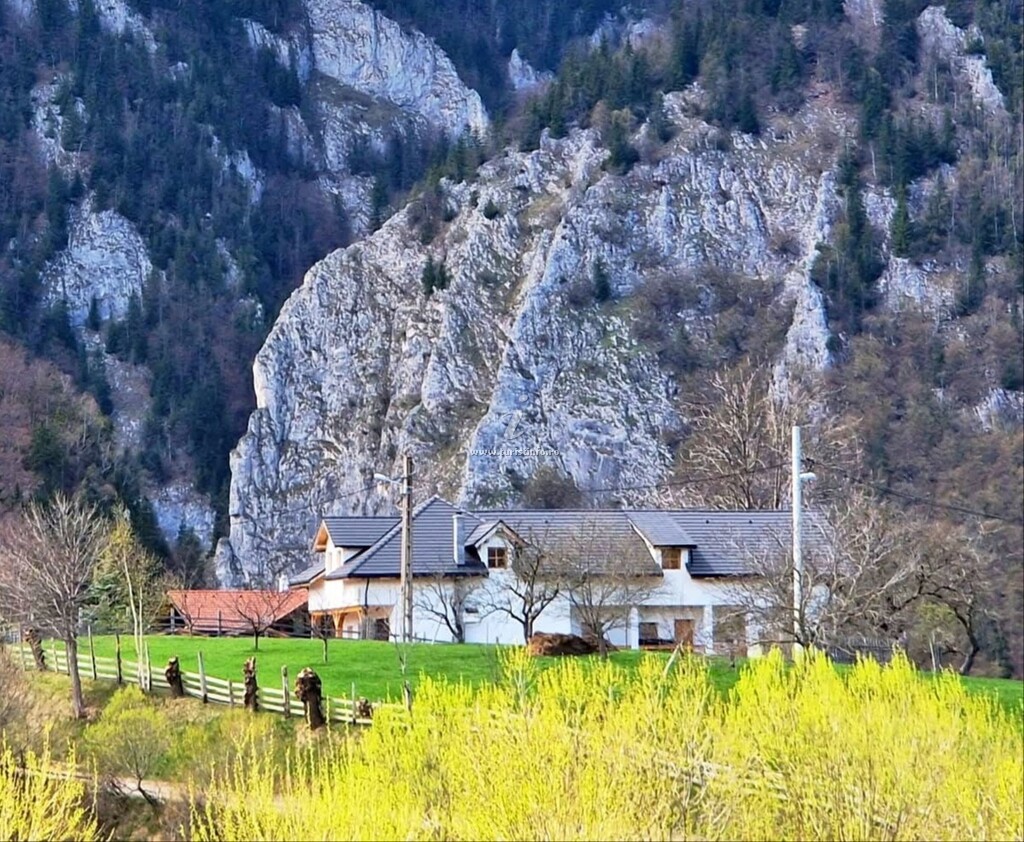 The Origin | Mountain Guesthouse | Măgura