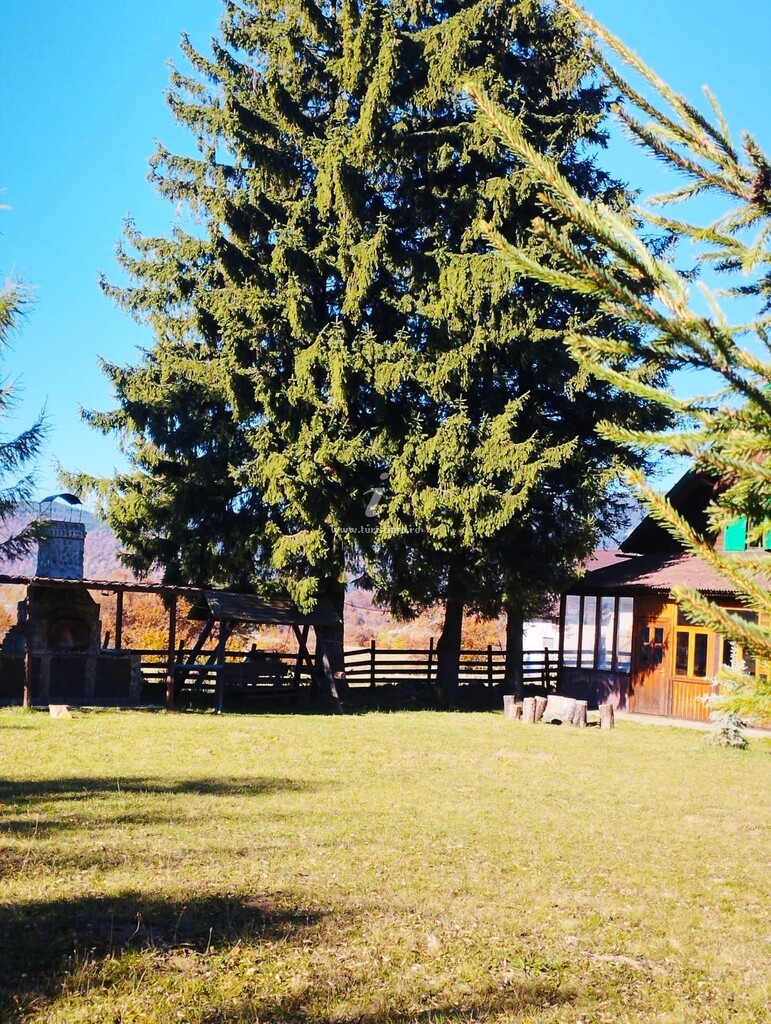 Cabana Ciocanu