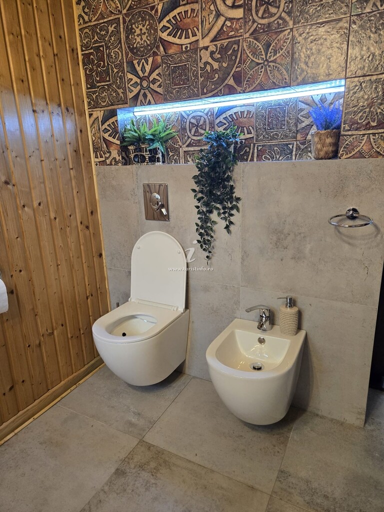 Vila Drumul Domnșiorilor
