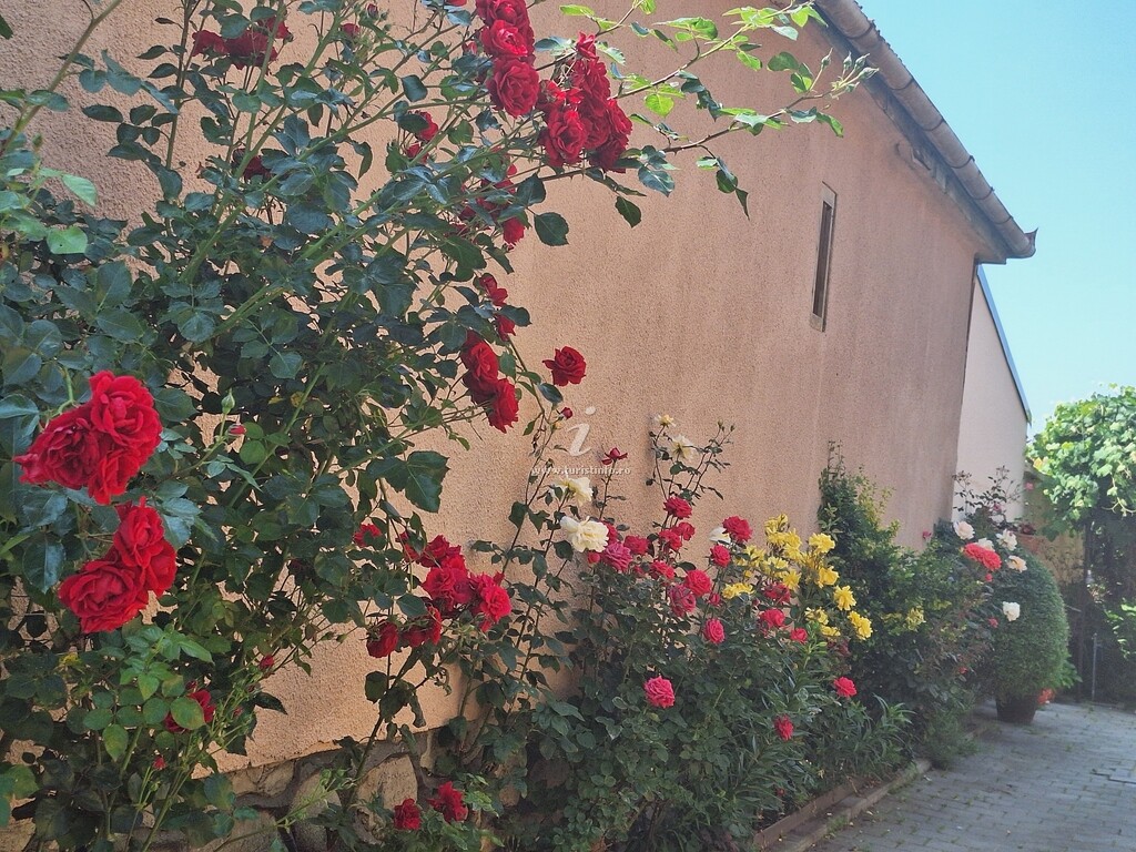 Casa Oti