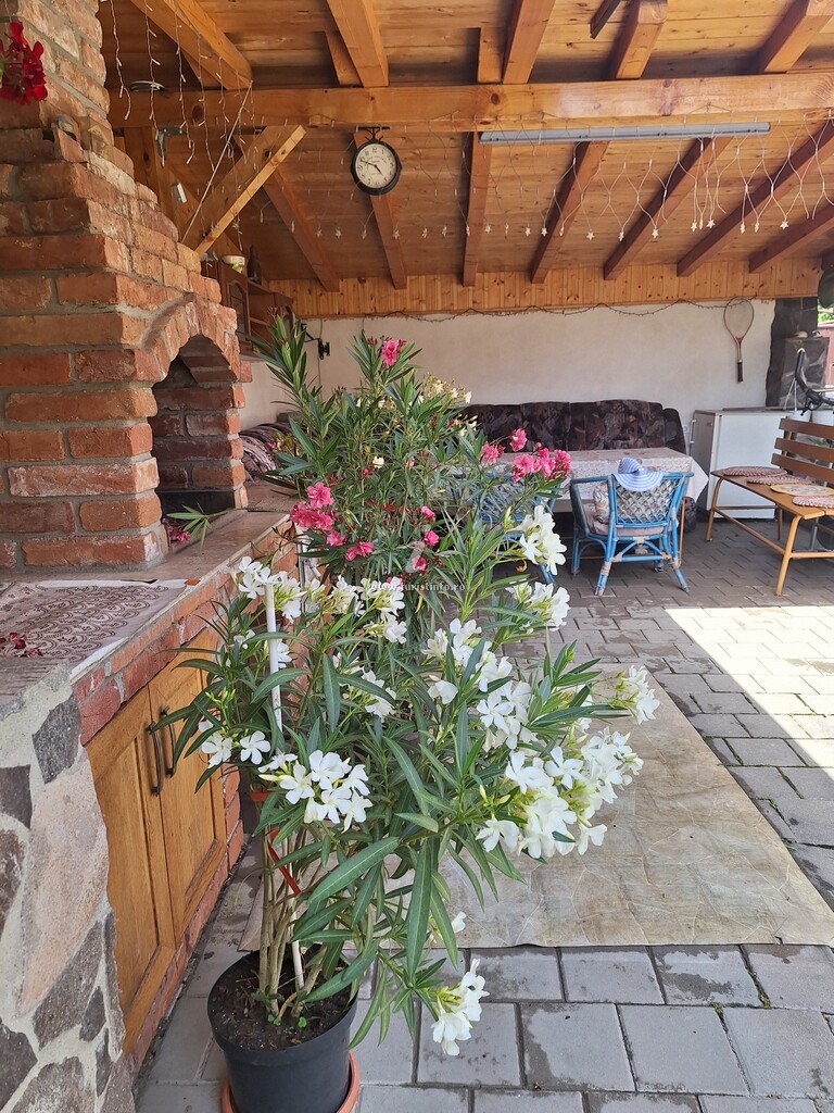 Casa Oti
