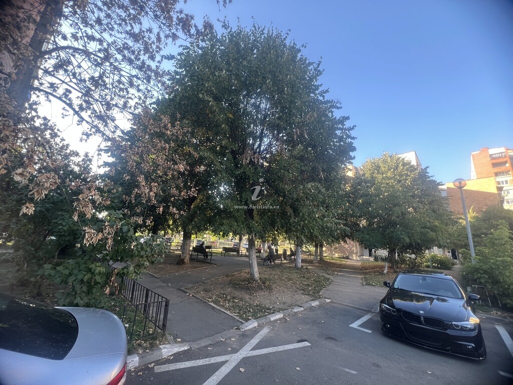 Apartament Ywa