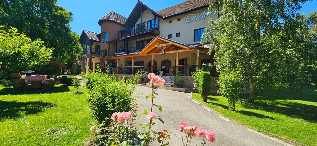 Pensiunea Restaurant Tudor