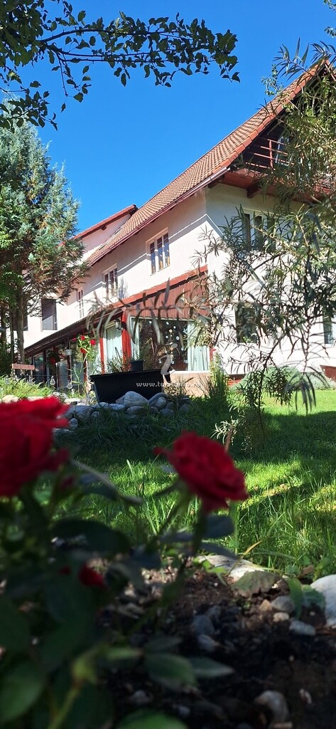Casa Florin