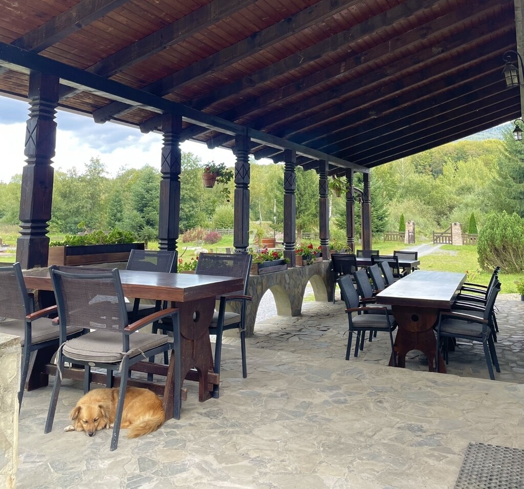 Vila Valea Sălbatică