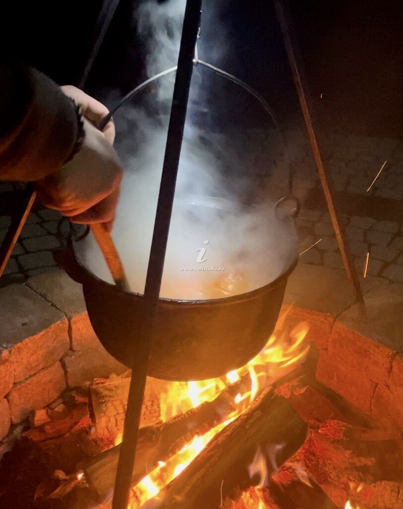 Vila Valea Sălbatică