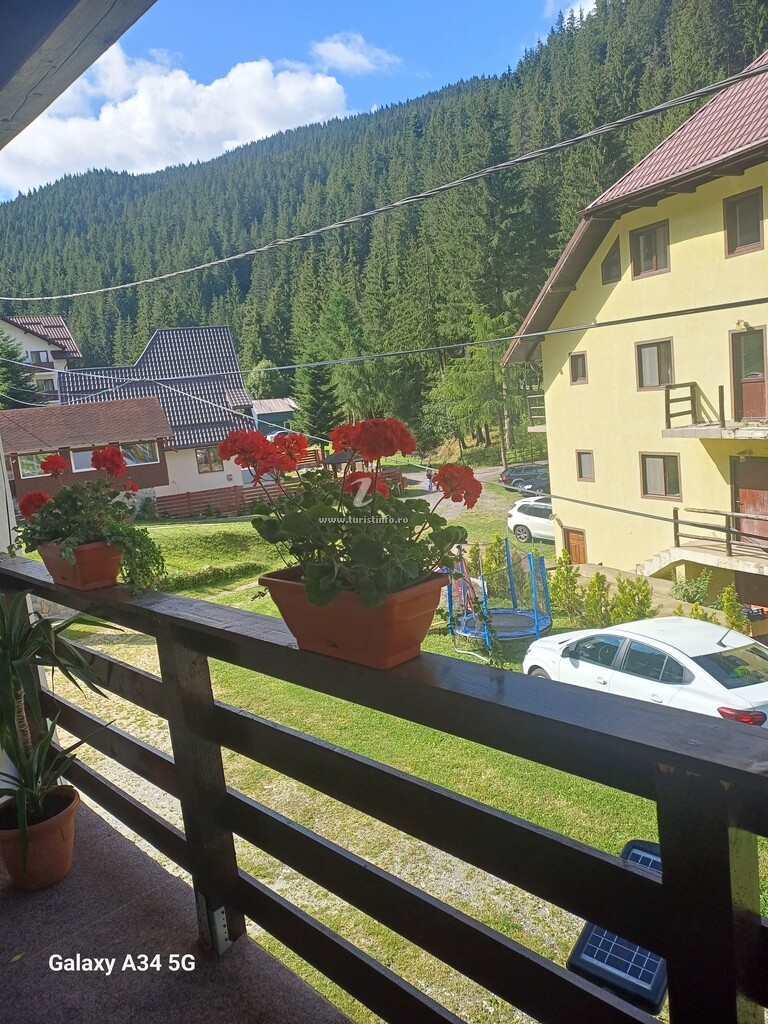 Vila Muntelui Bucegi