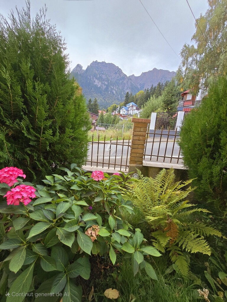 Pensiunea Valea Albă