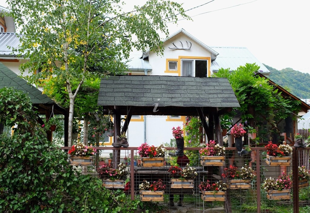 Casa de vacanță Rândunica