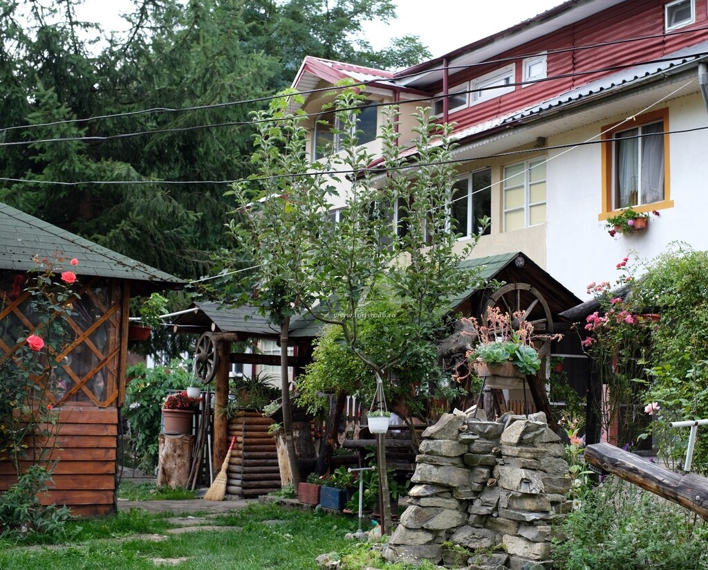 Casa de vacanță Rândunica