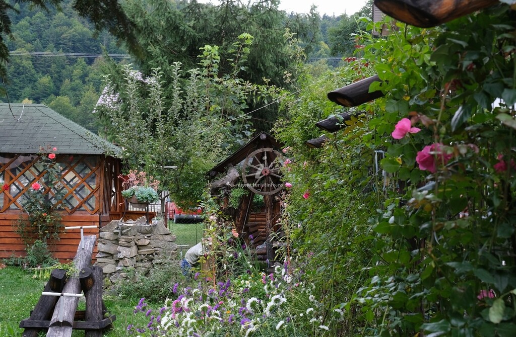 Casa de vacanță Rândunica