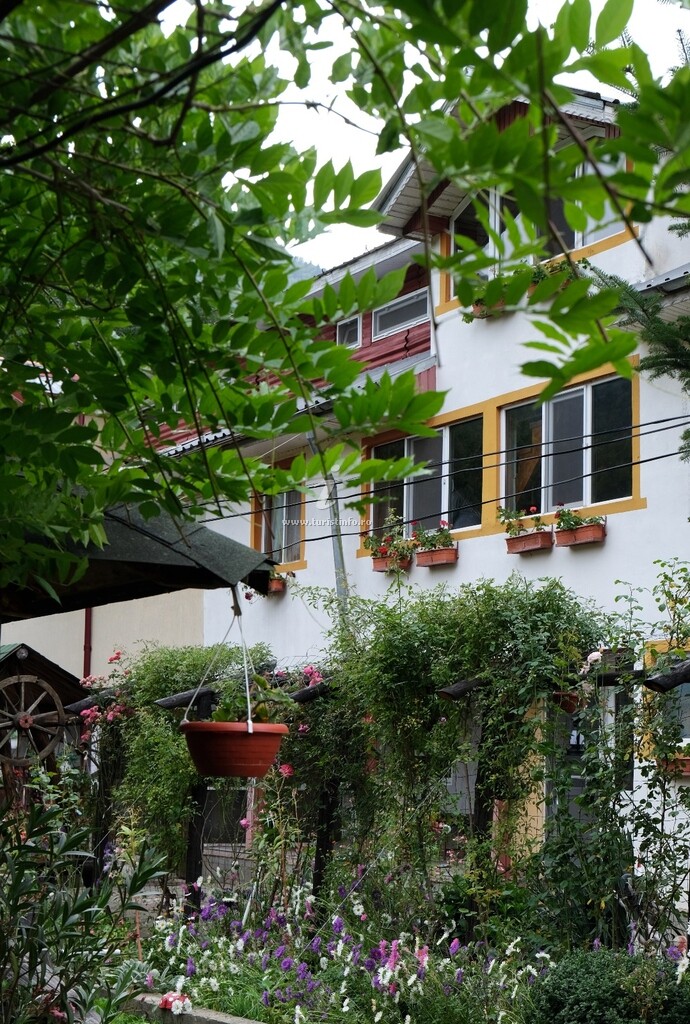 Casa de vacanță Rândunica