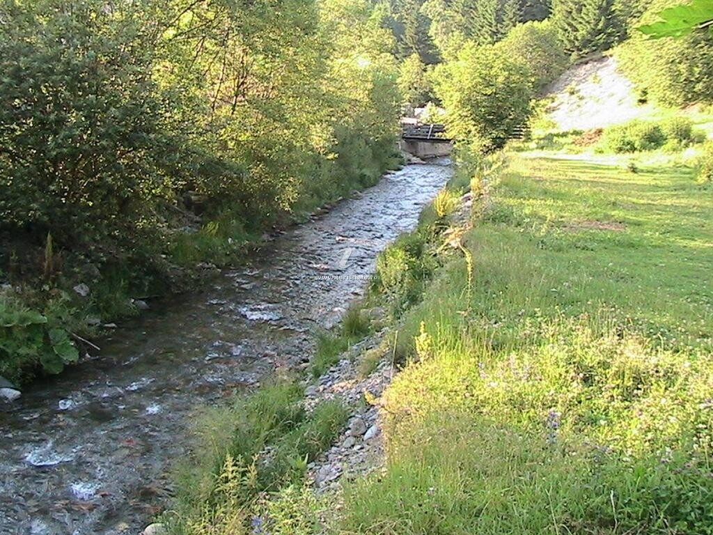 Vila Rina