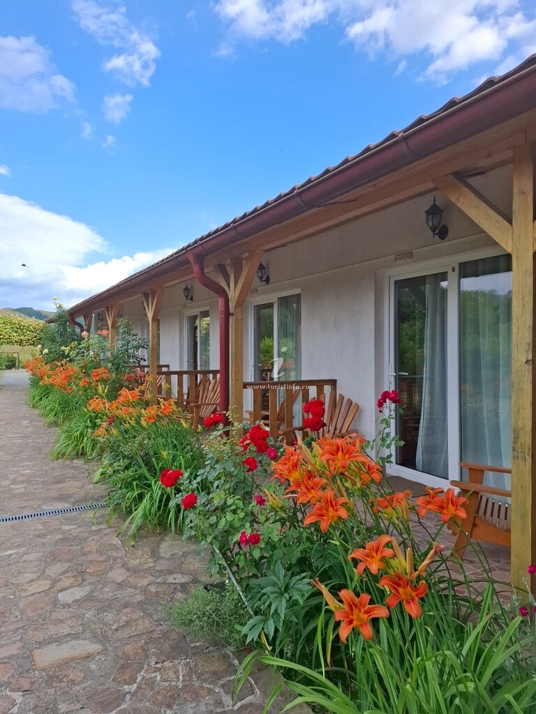 Camere de închiriat Poezii Alese