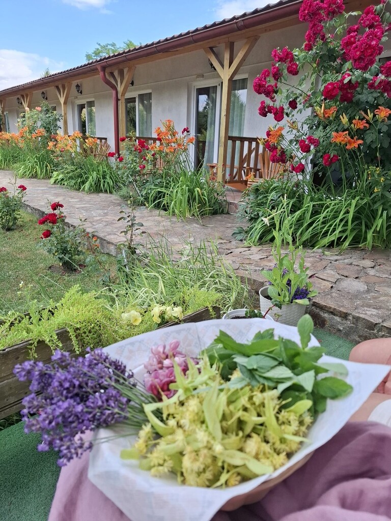 Camere de închiriat Poezii Alese