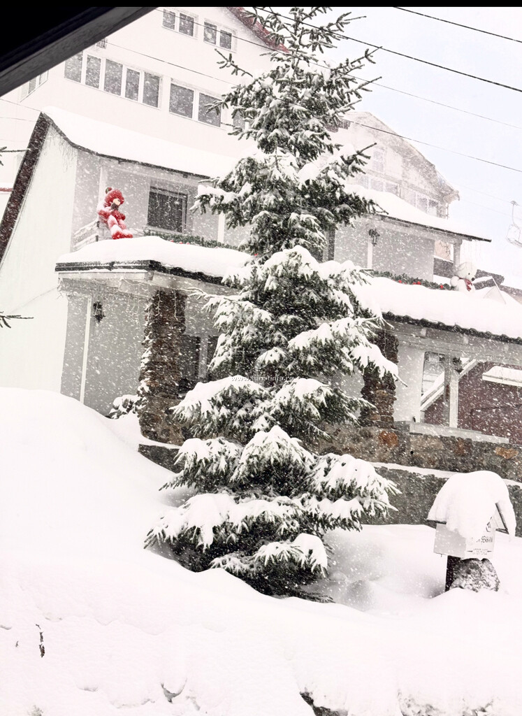 Casa Șerban