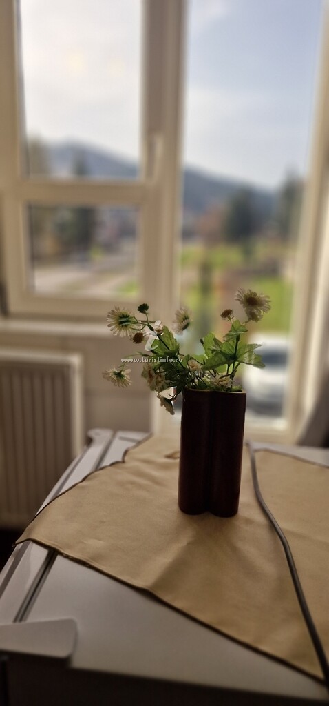 Pensiunea Casa Ana Roșu