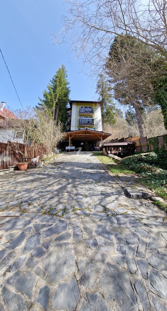 Pensiunea Casa Ana Galben - Alexia