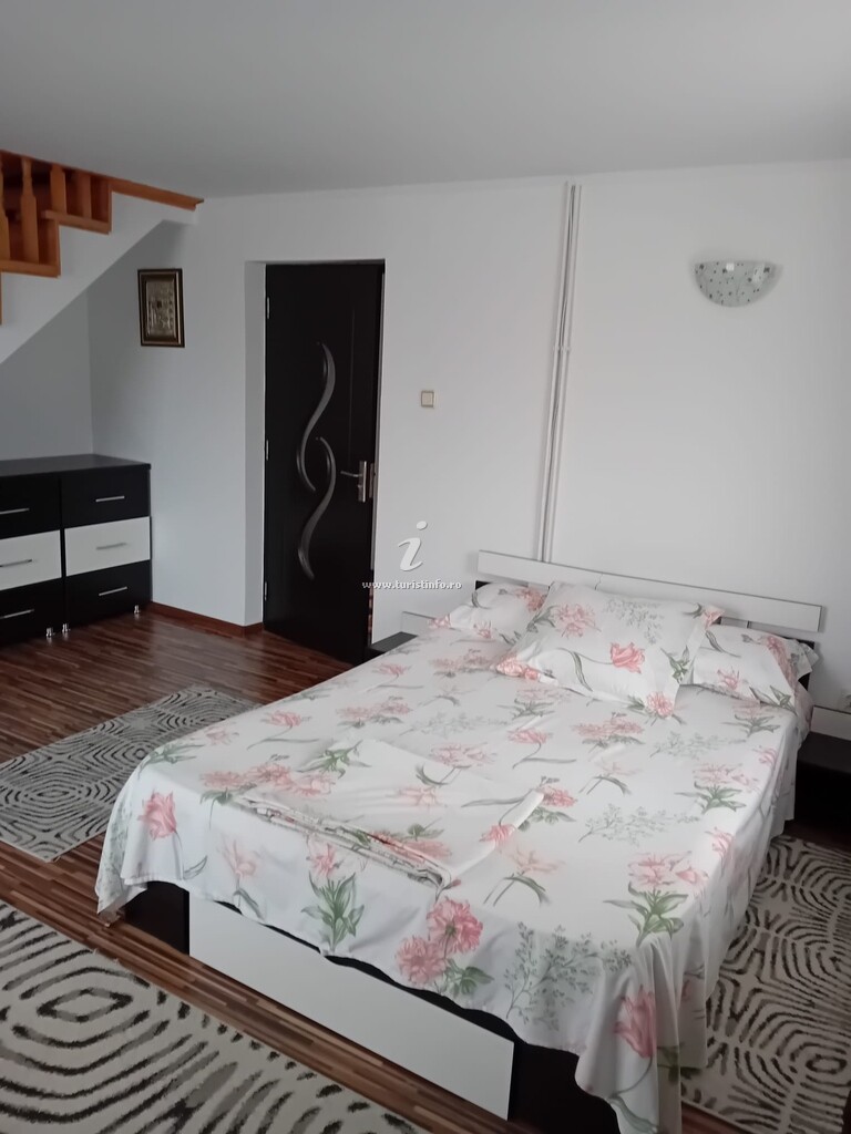 Casa Jianu