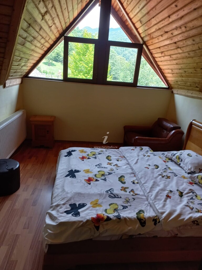 Pensiunea Voinesita
