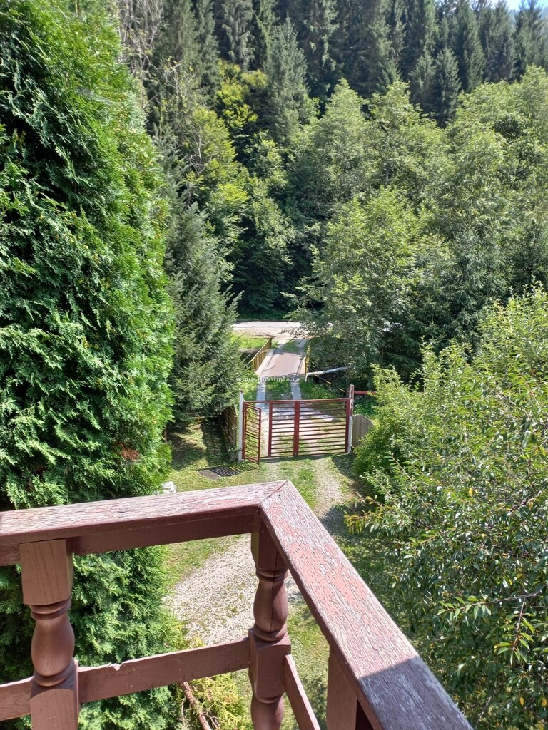 Pensiunea Voinesita