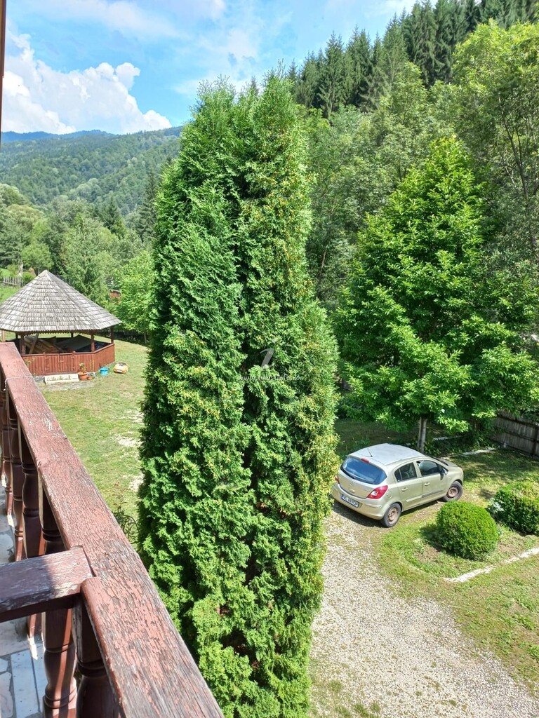 Pensiunea Voinesita