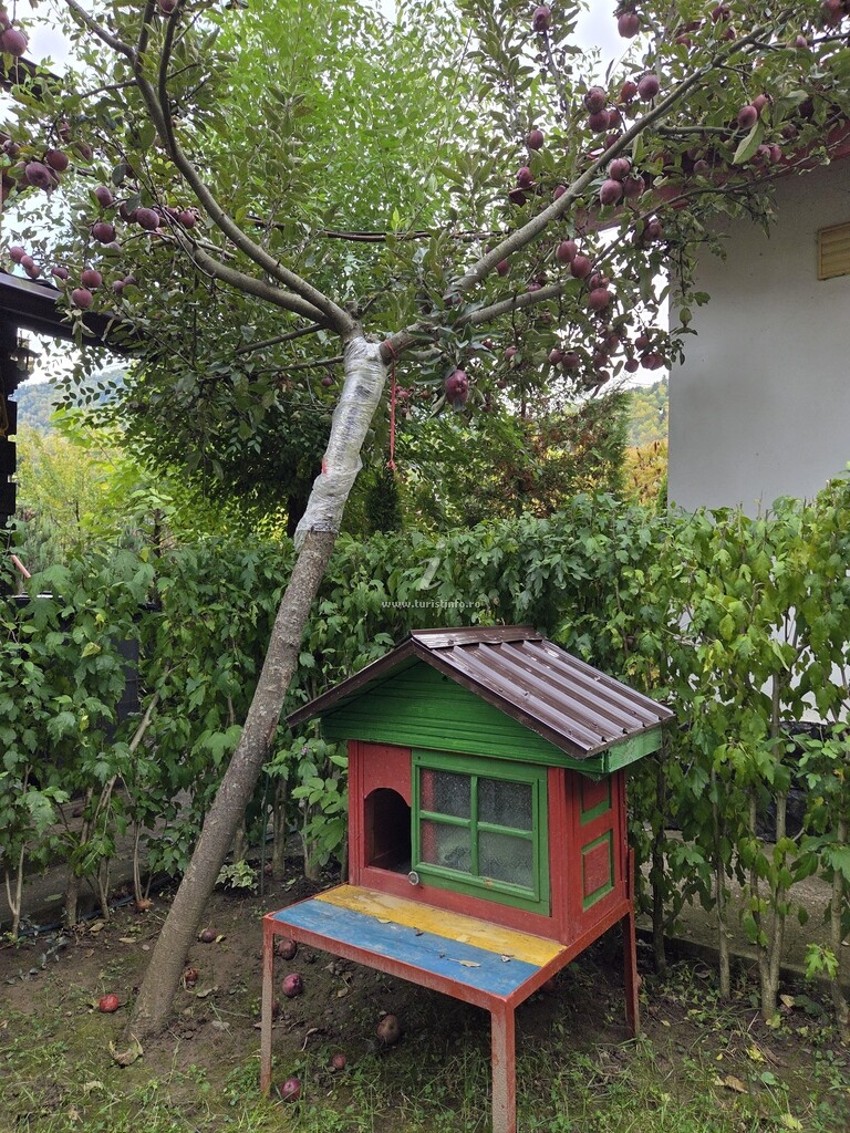 Casa Poiana 2