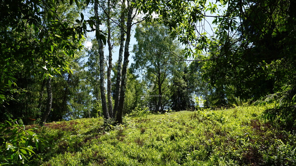 Bungalow-uri Krusta Panoramic Resort