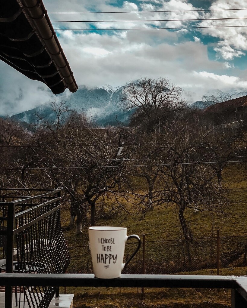 Vila Transylvania Mountain View