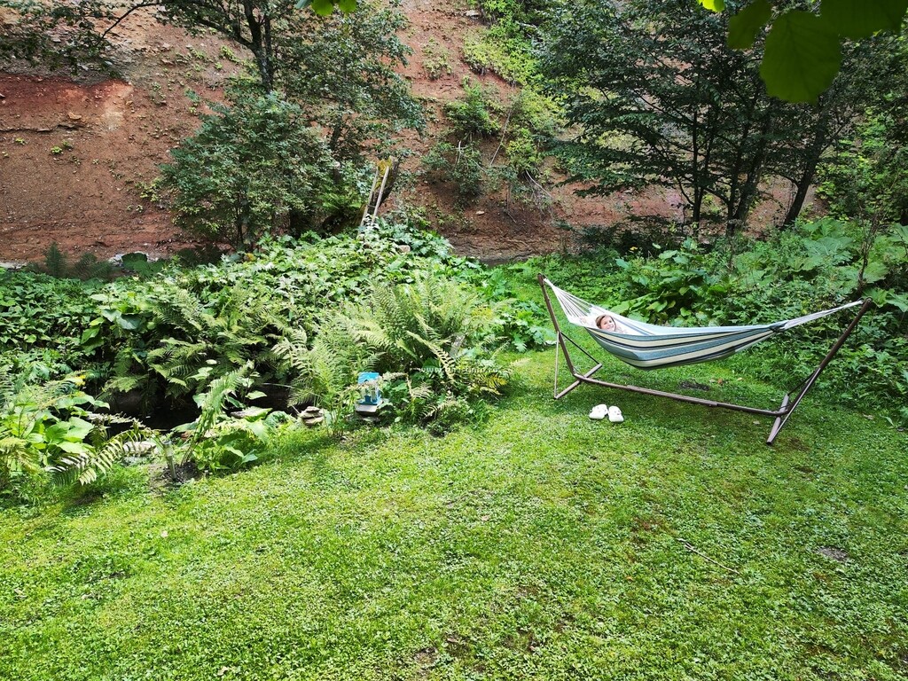 Căsuța din Pădure
