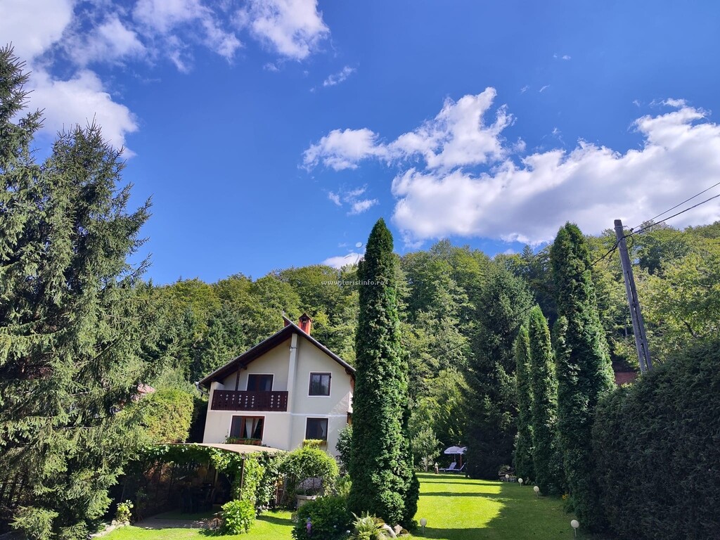 Căsuța din Pădure
