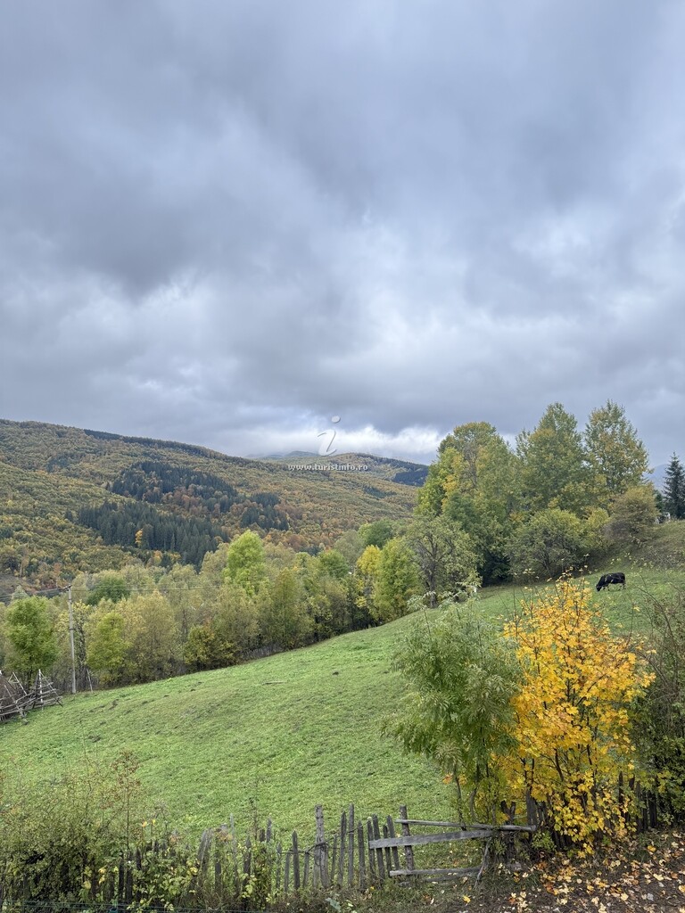 Vila Belvedere Doftana