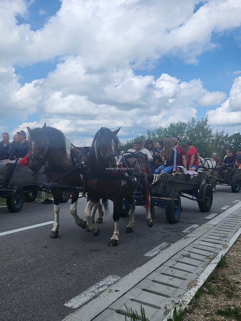 Turism Popasul Iancului