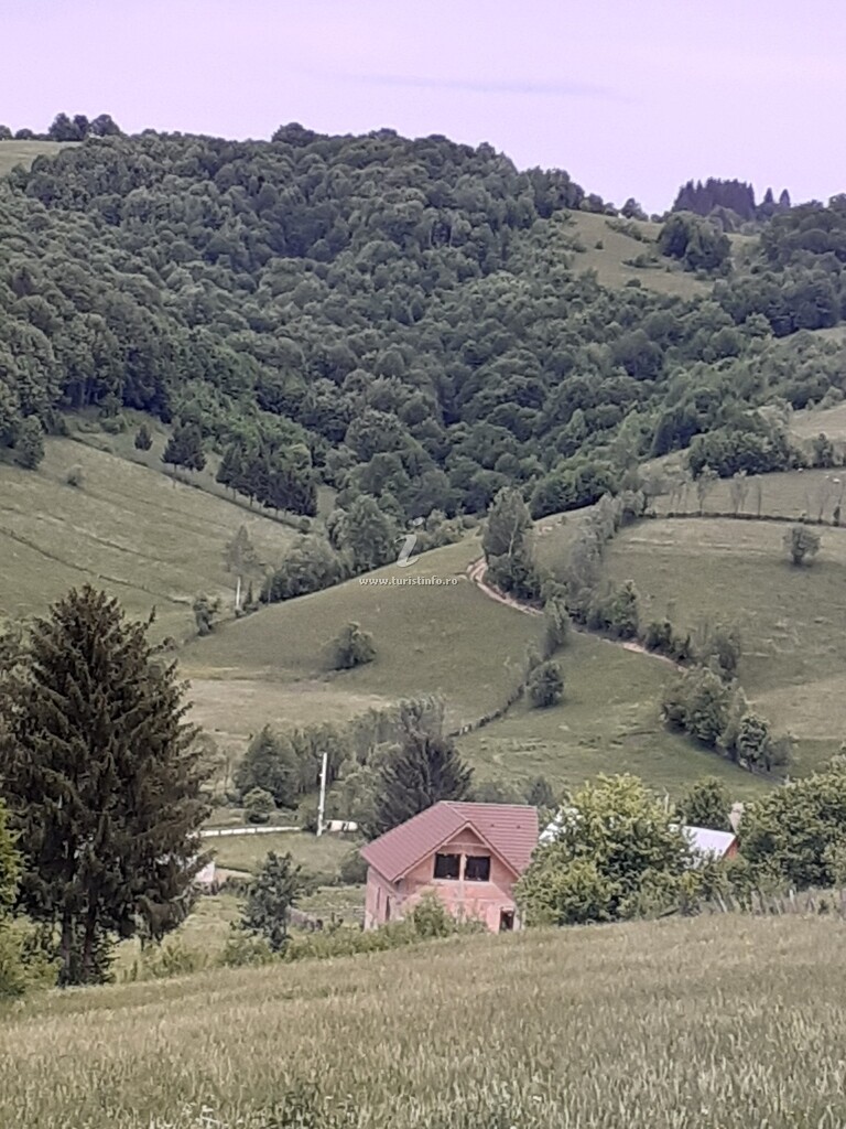 Casa Ardelean