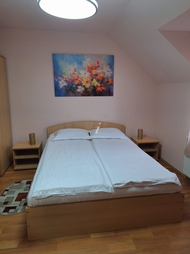 Pensiunea Bendorfeanu