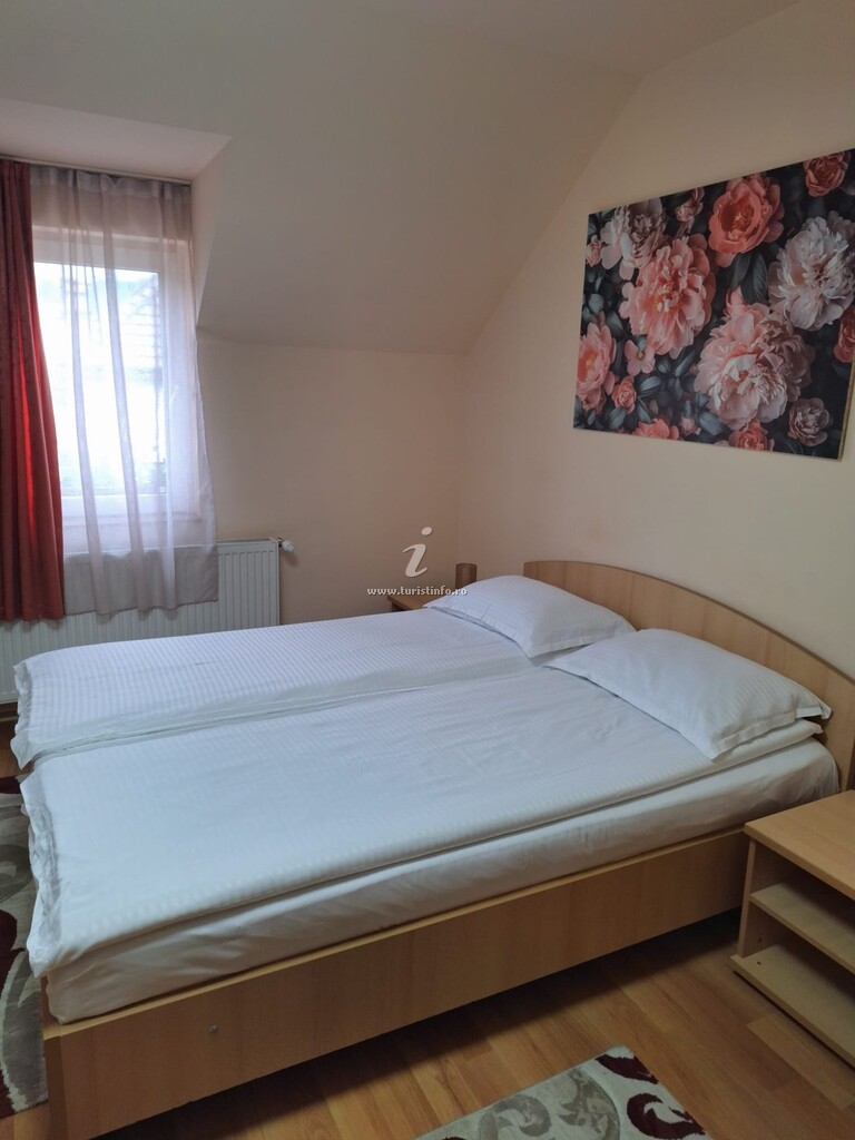 Pensiunea Bendorfeanu
