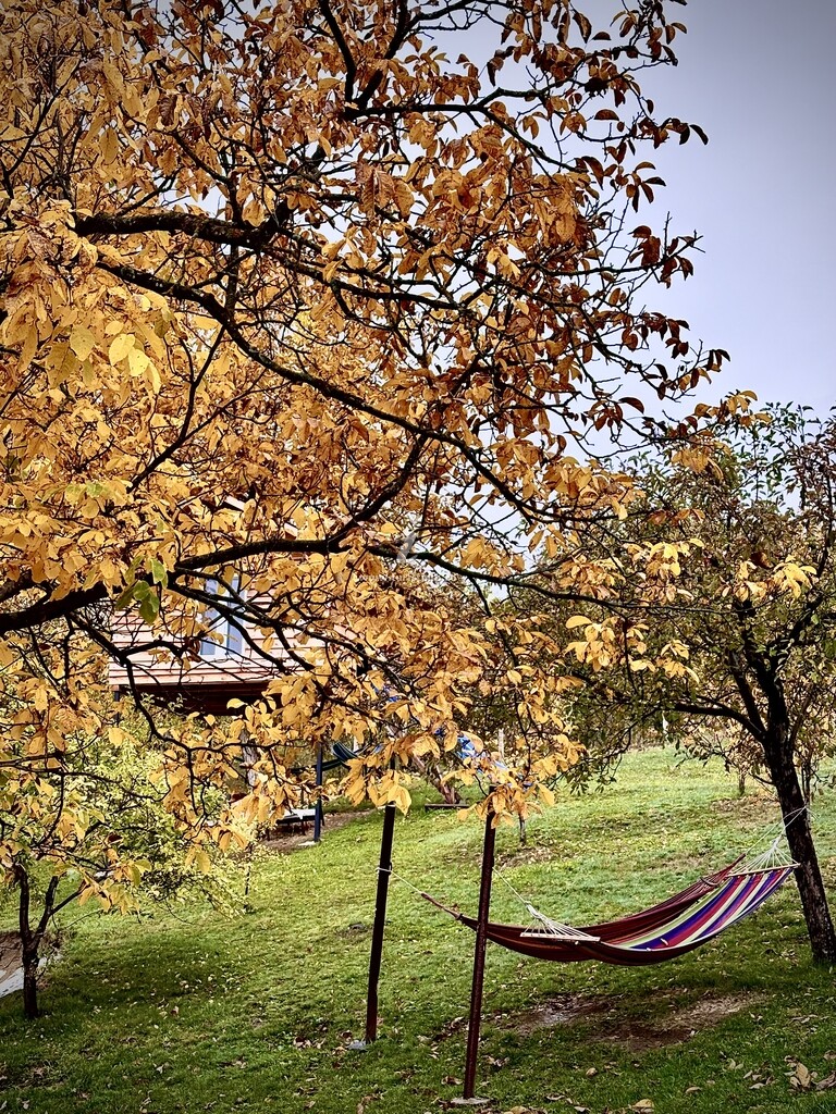 Pensiunea Casa Călina