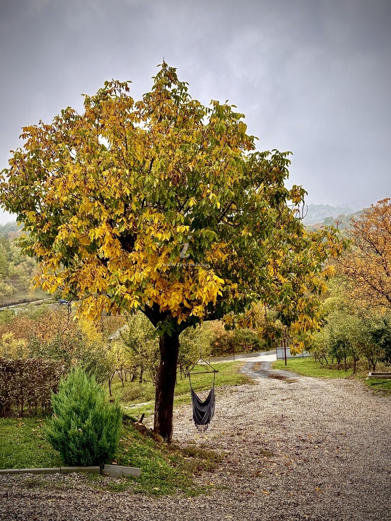 Pensiunea Casa Călina