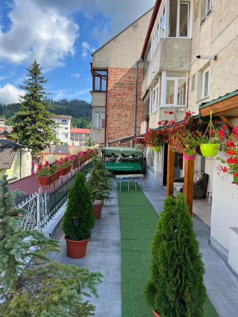 Apartament Gabriela