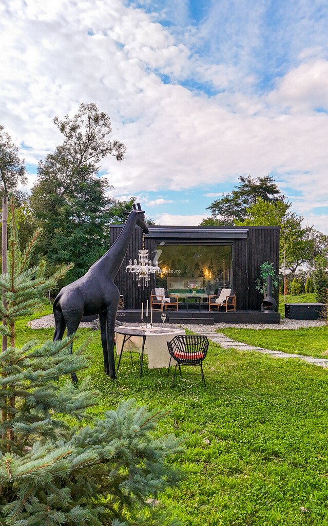 Cabana Porumbacu Garden