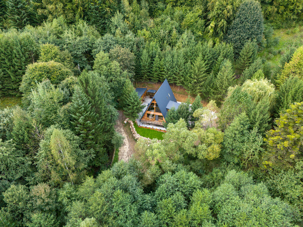 A-scape Cabin