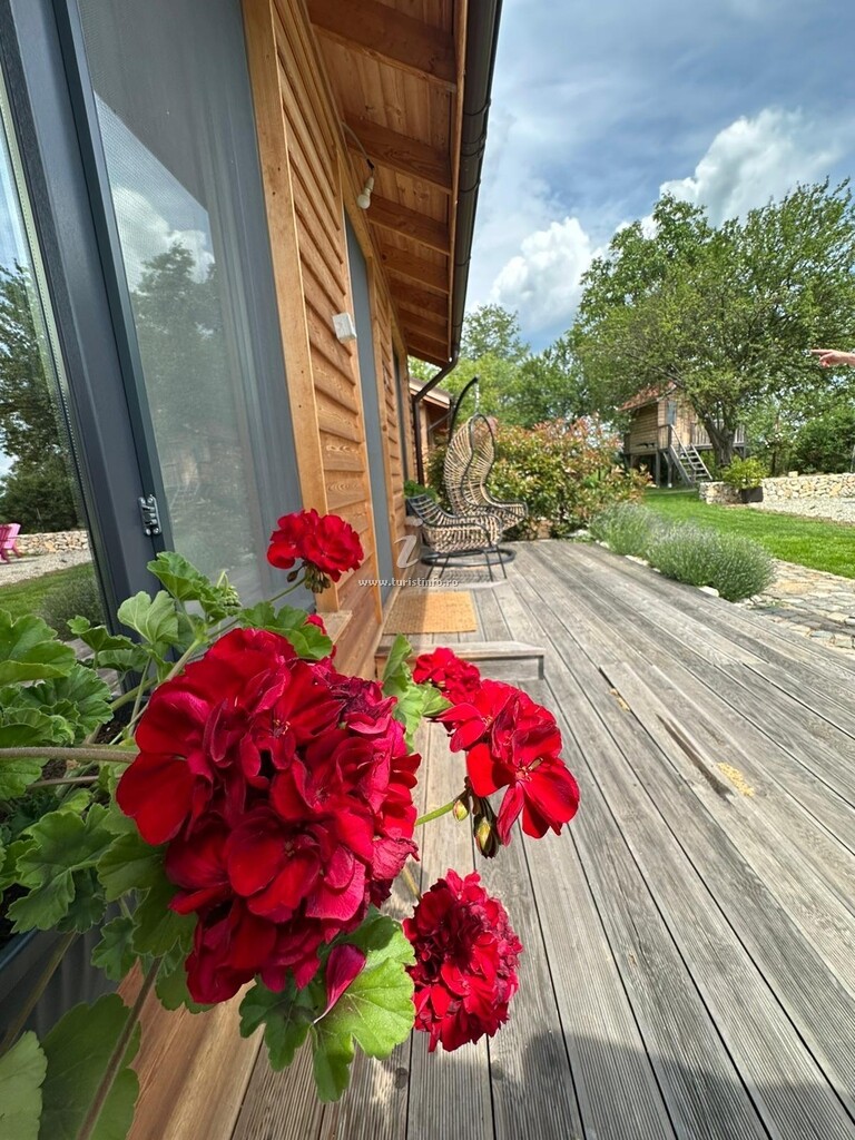 Casa Gorjeană