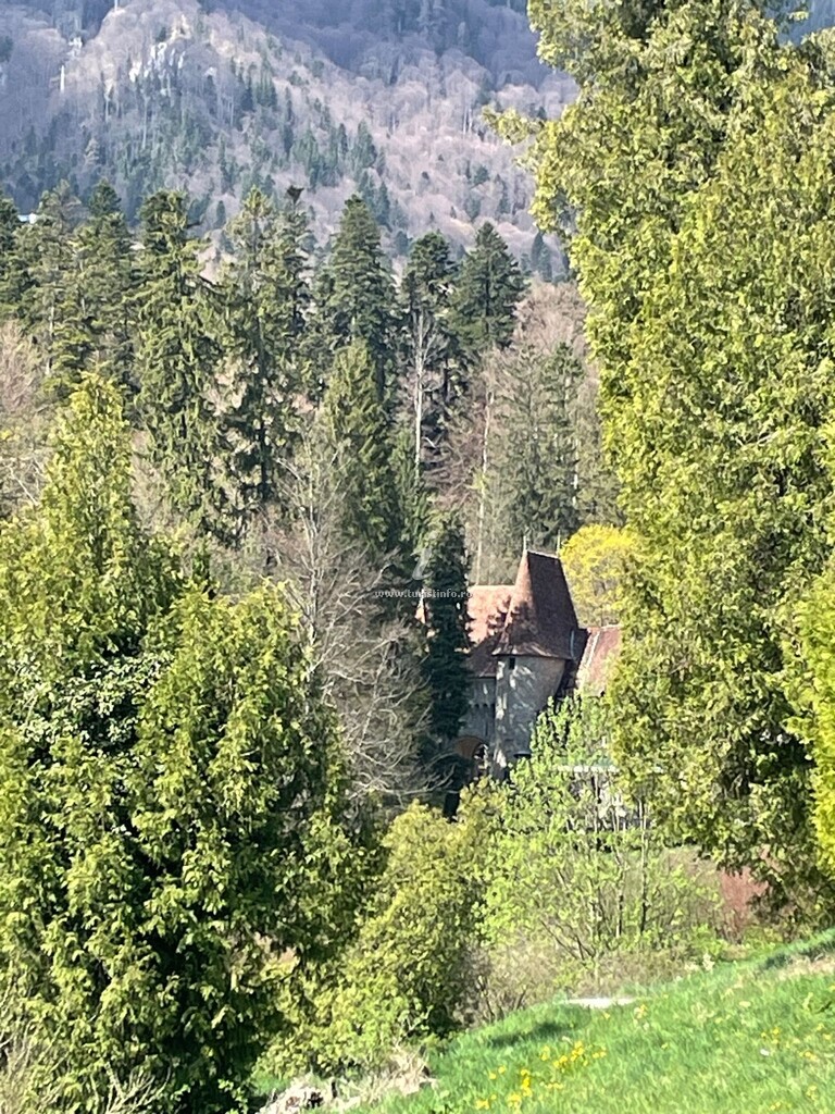 Casa cu Prieteni