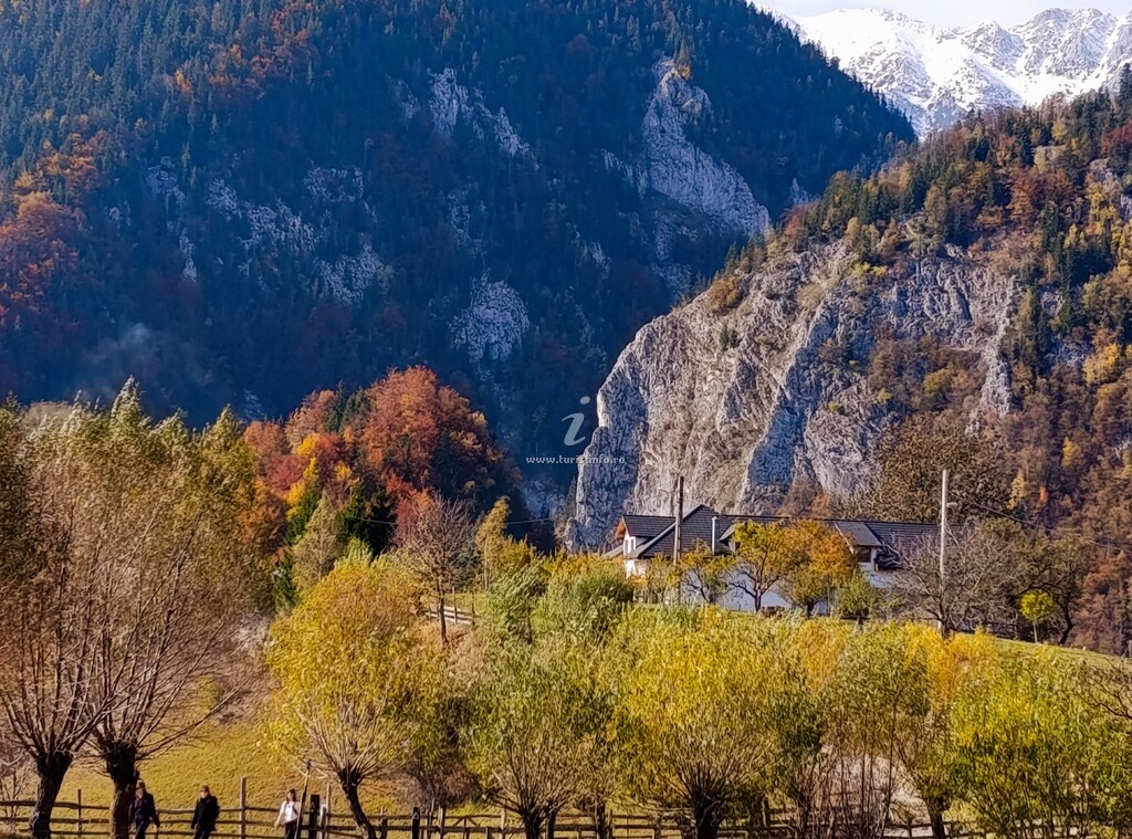 The Origin | Mountain Guesthouse | Măgura