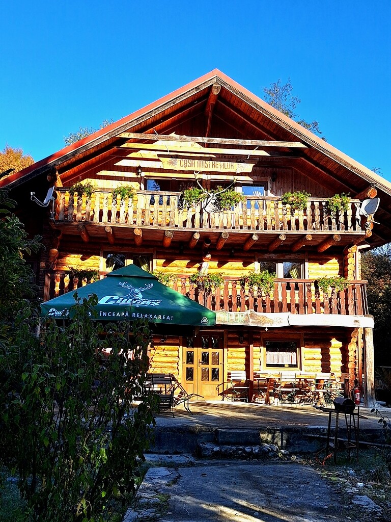 Casa Mistreților
